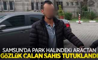 Samsun'da park halindeki araçtan gözlük çalan şahıs tutuklandı
