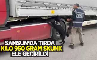 Samsun'da tırda 3 kilo 950 gram skunk ele geçirildi