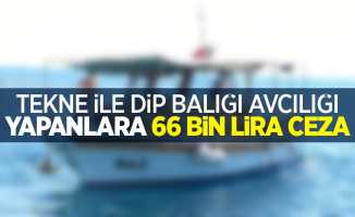 Tekne ile dip balığı avcılığı yapanlara 66 bin lira ceza