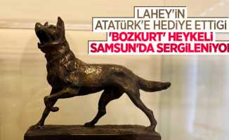 Lahey'in Atatürk'e hediye ettiği 'bozkurt' heykeli Samsun'da sergileniyor