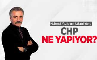 Mehmet Yazıcı'nın kaleminden; CHP ne yapıyor? 