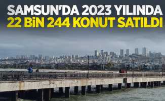 Samsun'da 2023 yılında 22 bin 244 konut satıldı