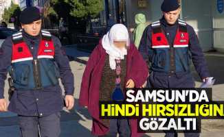 Samsun'da hindi hırsızlığına gözaltı