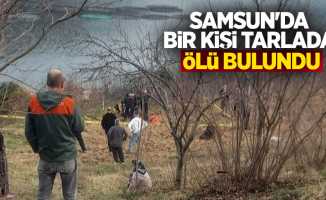 Samsun'da bir kişi tarlada ölü bulundu