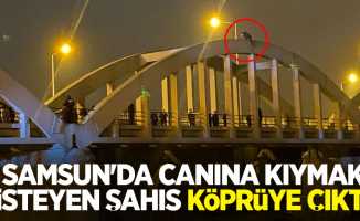 Samsun'da canına kıymak isteyen şahıs köprüye çıktı