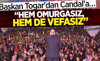 Başkan Togar'dan Candal'a…  "Hem omurgasız, hem de vefasız"