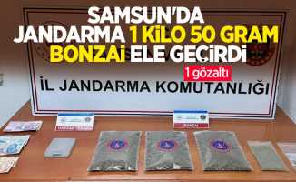 Samsun'da jandarma 1 kilo 50 gram bonzai ele geçirdi: 1 gözaltı
