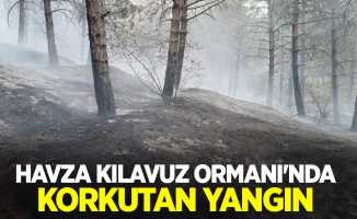Havza Kılavuz Ormanı'nda korkutan yangın