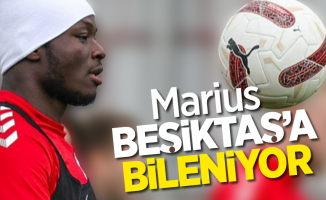 Marius  Beşiktaş'a bileniyor
