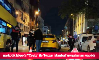 narkotik köpeği "Ceviz" ile ’Huzur İstanbul’ uygulaması yapıldı
