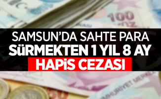 Samsun'da sahte para sürmekten 1 yıl 8 ay hapis cezası