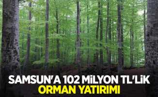 Samsun’a 102 milyon TL’lik orman yatırımı