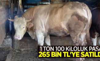 1 ton 100 kiloluk Paşa 265 bin TL'ye satıldı