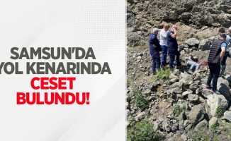 Samsun'da yol kenarında ceset bulundu
