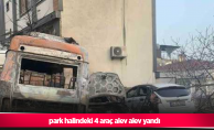 park halindeki 4 araç alev alev yandı