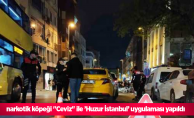 narkotik köpeği "Ceviz" ile ’Huzur İstanbul’ uygulaması yapıldı