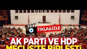 AK Parti ve HDP Meclis'te Birleşti