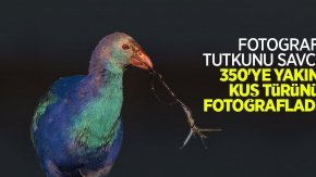 Fotoğraf tutkunu savcı, 350'ye yakın kuş türünü fotoğrafladı