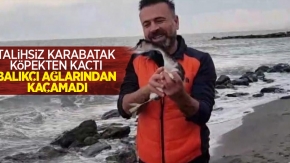 Talihsiz karabatak köpekten kaçtı, balıkçı ağlarından kaçamadı