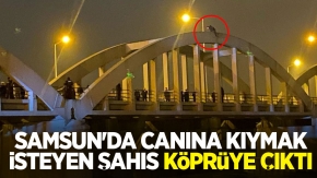 Samsun'da canına kıymak isteyen şahıs köprüye çıktı